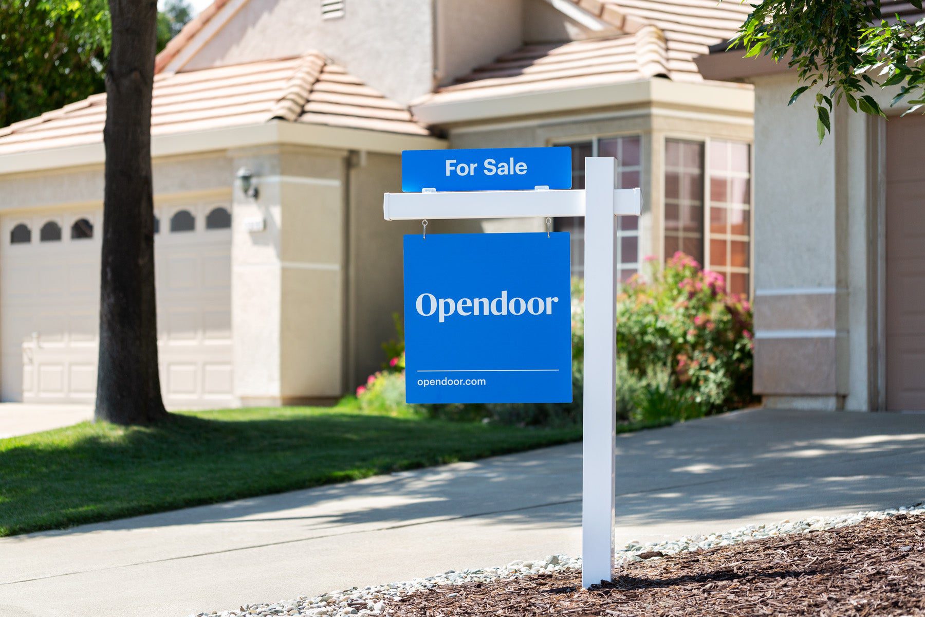 Opendoor real estate