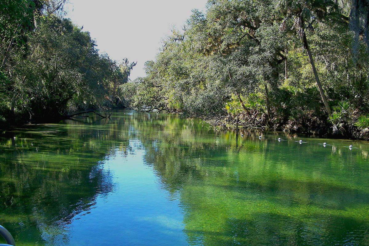 12 Best Natural Springs to Visit in Florida in 2022