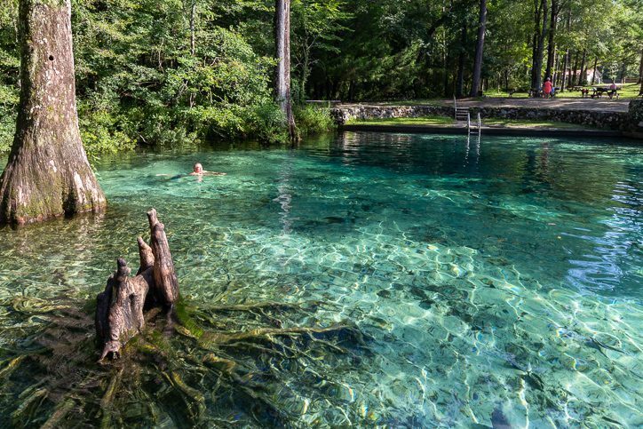 18 Best Springs in Florida