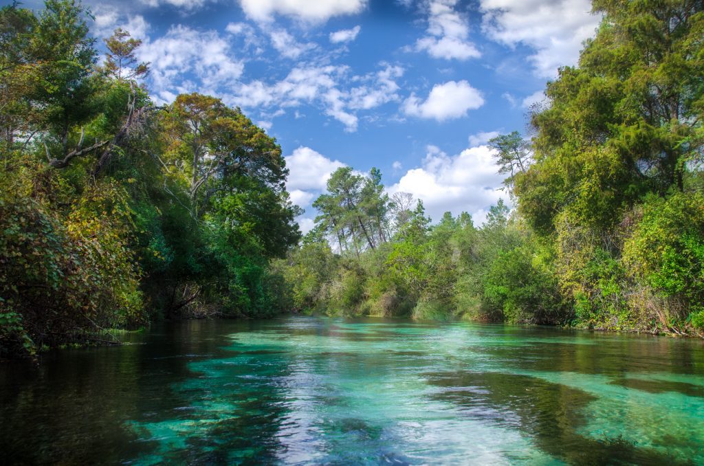 A Dozen Stunningly Beautiful Florida Springs You Must Visit - Coleman  Concierge